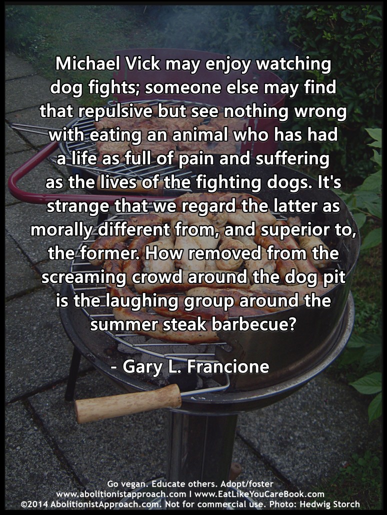 Michael Vick may enjoy watching dog fights... - HowDoIGoVegan.com